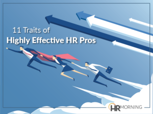 Lead Magnet: 110 Traits of Highly Effective HR Pros