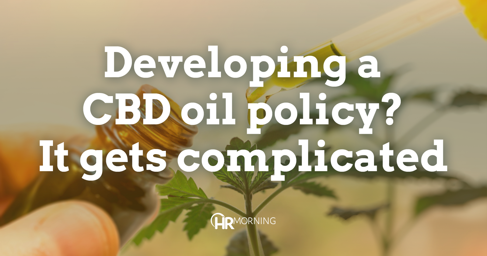 Developing a CBD oil policy