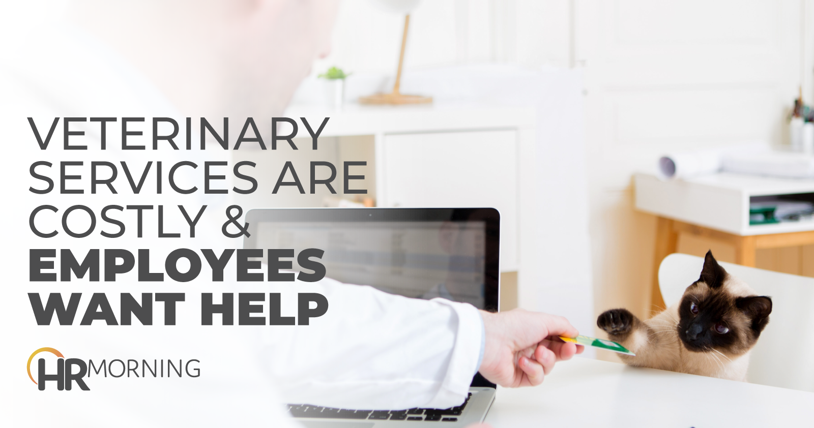 Veterinary Services Are Costly & Employees Want Help