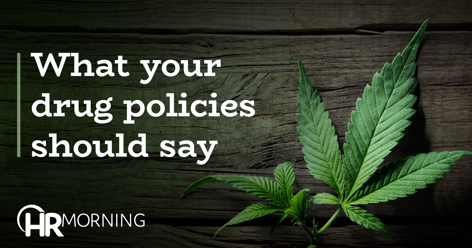 What Your Drug Policies Should Say
