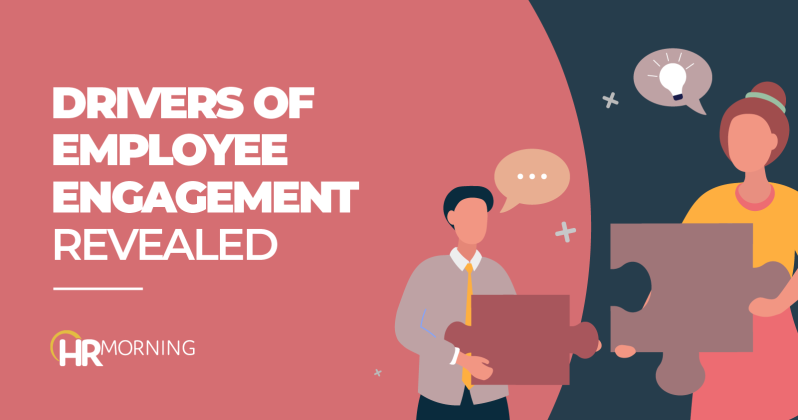 Drivers of employee engagement revealed