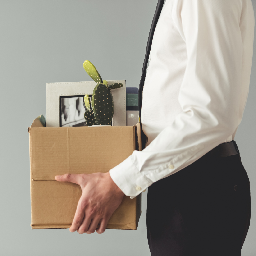 Government Workforce Cuts in 2025: What It Means for Your Business & How to Adapt