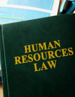 Top HR-Law Updates for 2023: Red Hot Issues Employers Must-Know