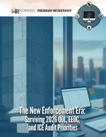 The New Enforcement Era: Surviving 2026 DOL, EEOC, and ICE Audit Priorities