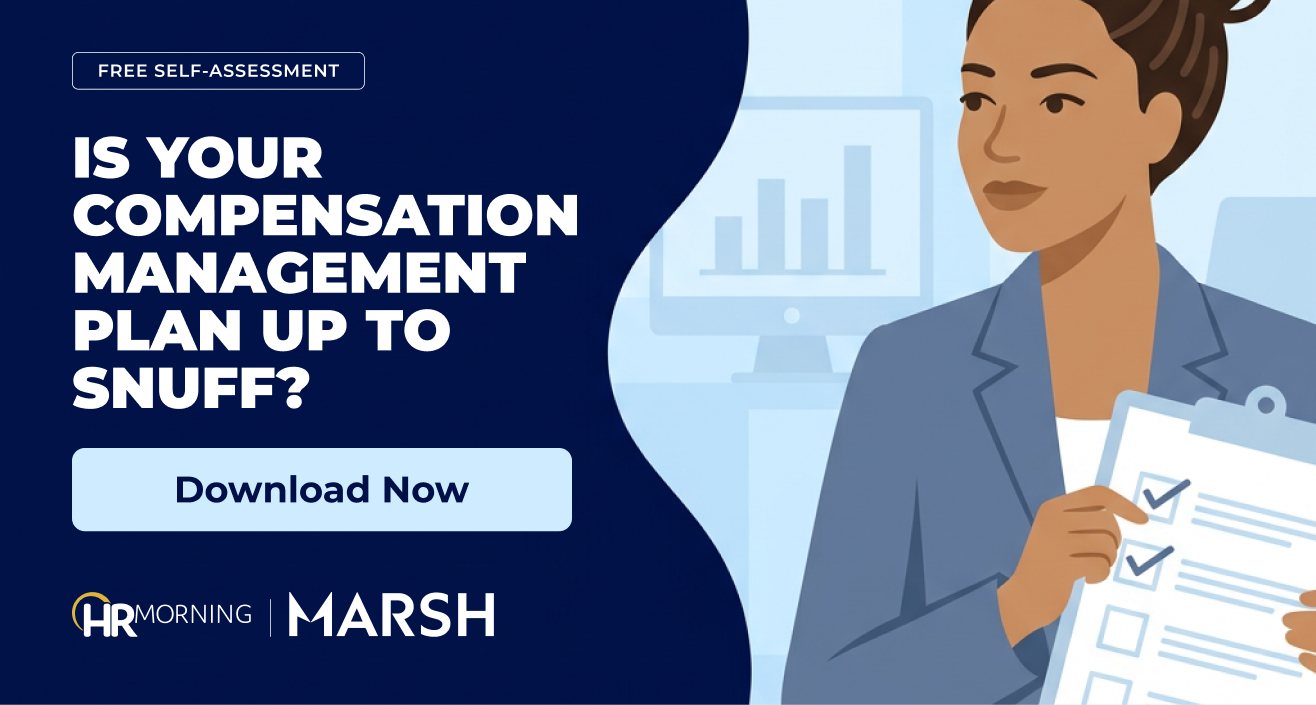 HR manager ticking boxes on a pay plan checklist, illustrating a self-assessment of a compensation management plan